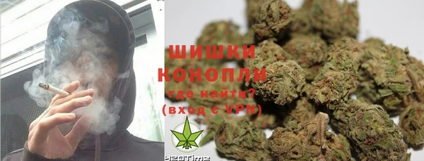 спиды Инта