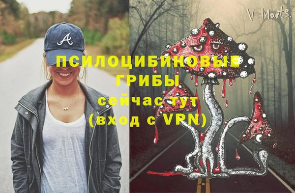 кокаин Инсар