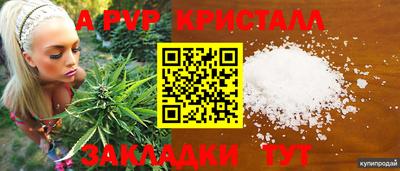 прущие крисы Белореченск