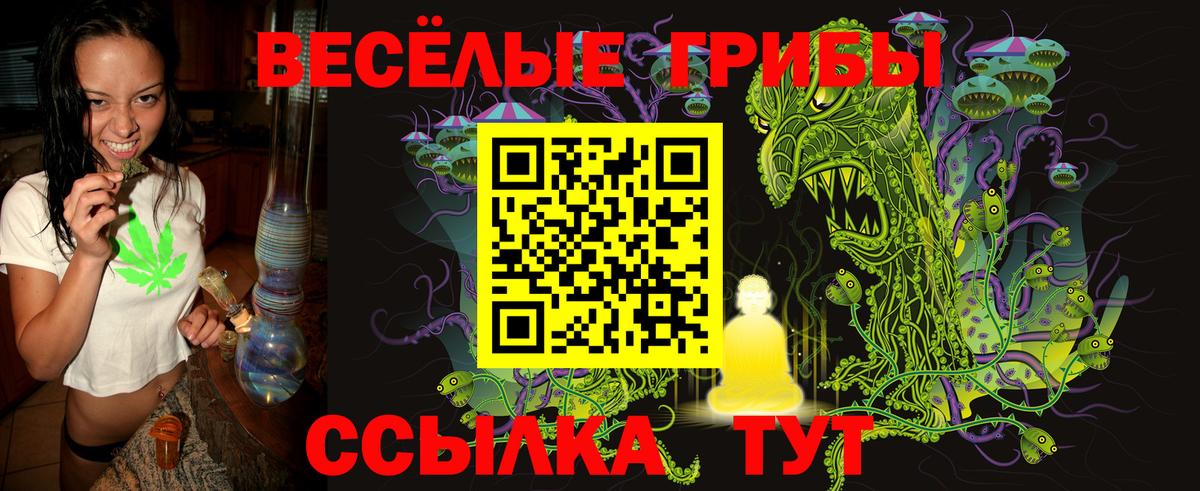 Псилоцибиновые грибы Cubensis  Псилоцибиновые грибы ЛСД  Каменка  что такое   Вход с VPN 