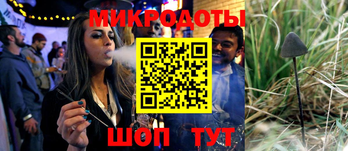 Псилоцибиновые грибы Cubensis Каменка